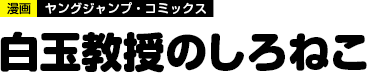 白玉教授のしろねこ